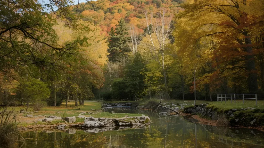 autumn instagram captions