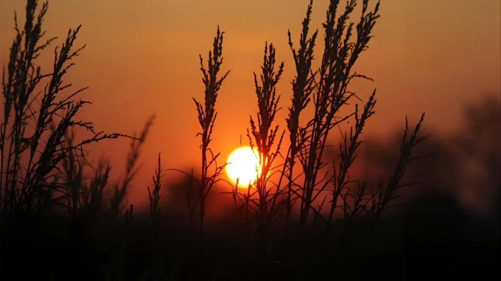 captions for instagram sunset