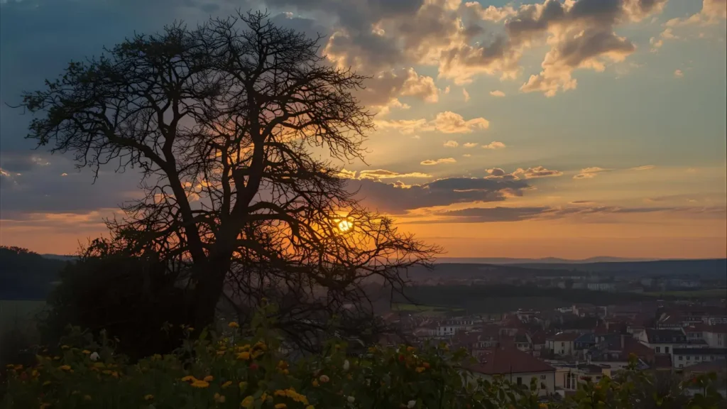 captions for instagram sunset