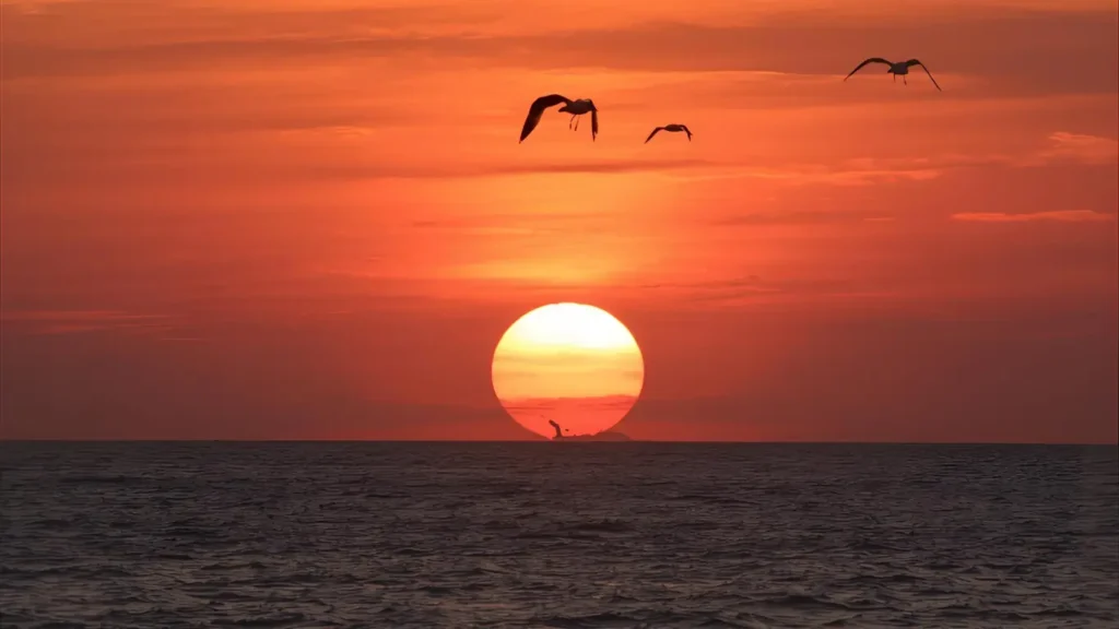 captions for instagram sunset