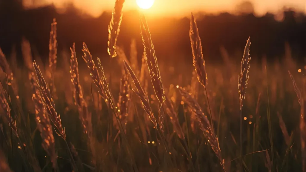 end of summer instagram captions