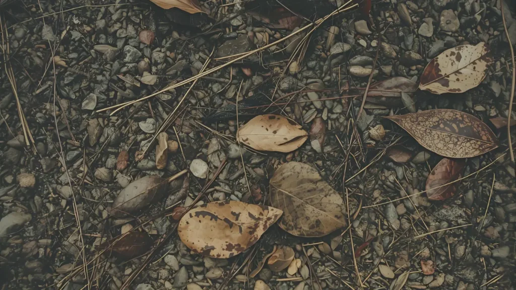 nature instagram captions