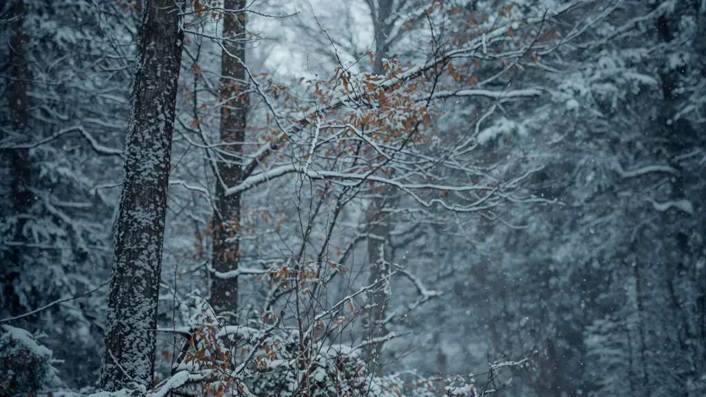 snow captions for instagram