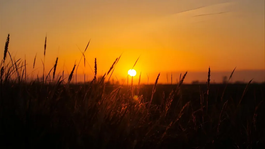 sunset captions for instagram