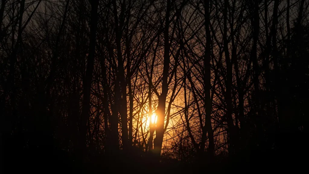 sunset captions for instagram