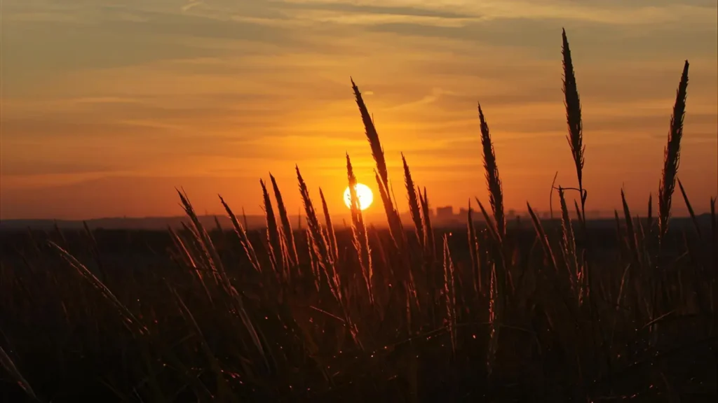 sunset captions instagram