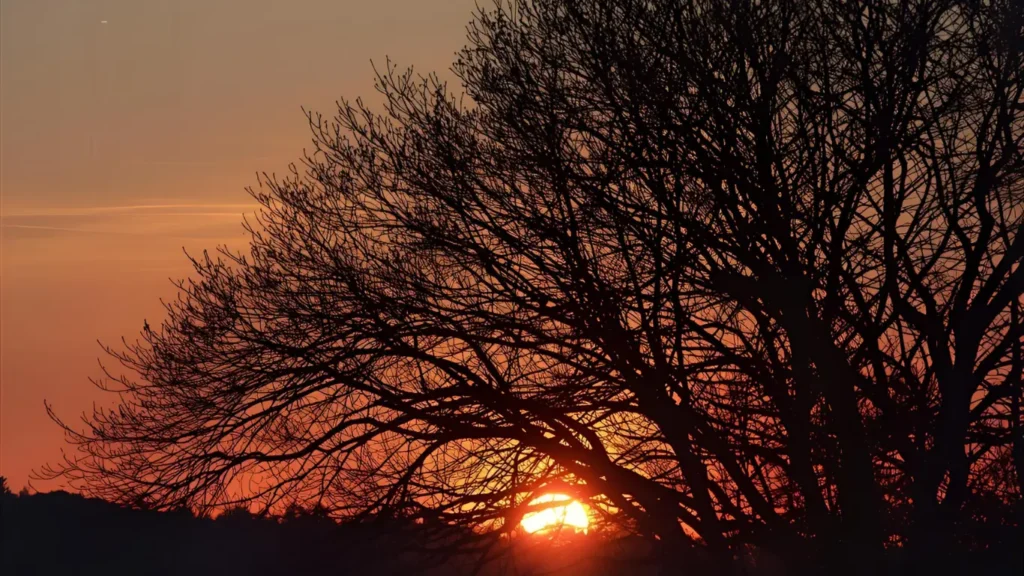 sunset instagram captions