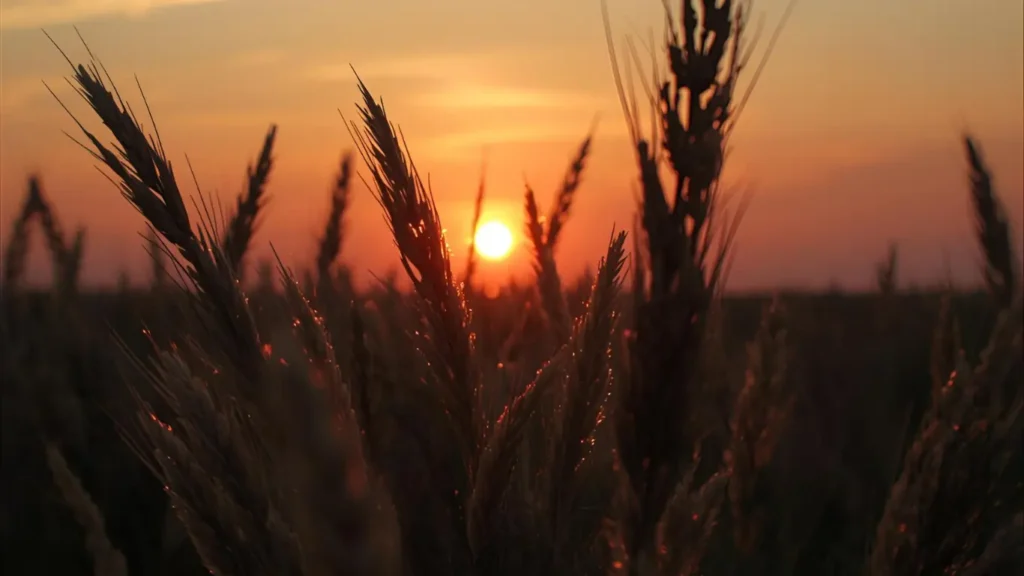 sunset instagram captions