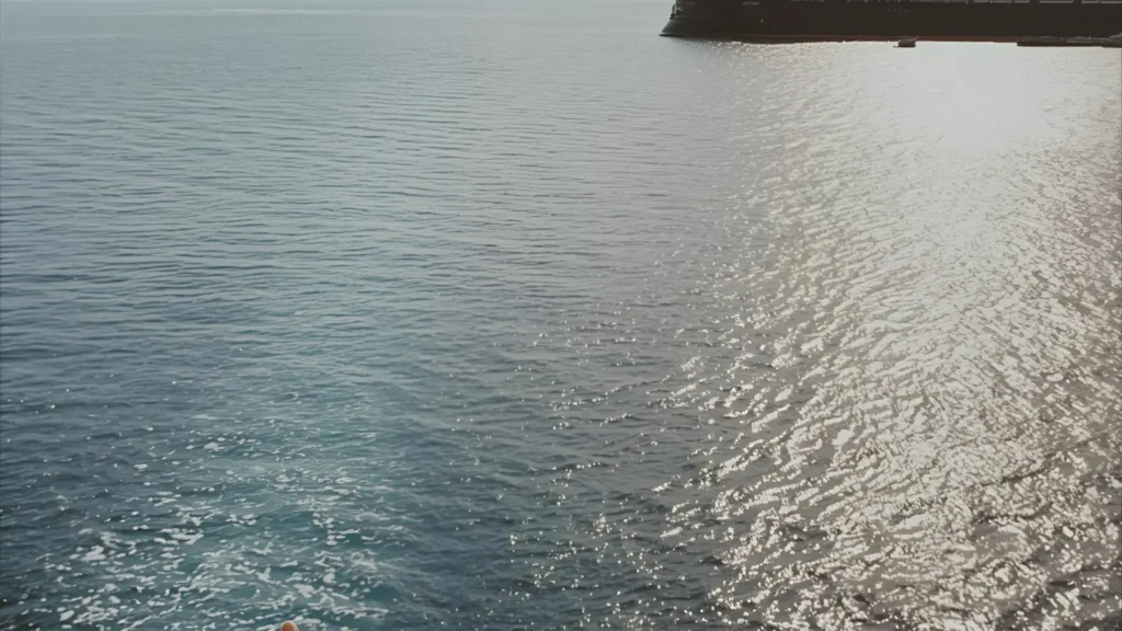 Celebration Cruise Instagram Captions