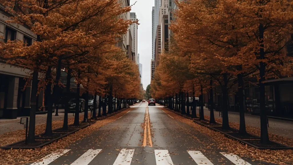 Fall Season Chicago Captions for Instagram