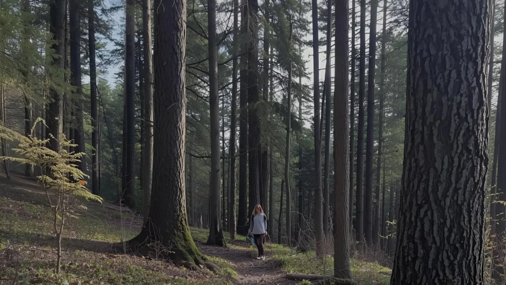 Hiking Instagram Captions for Nature Lovers