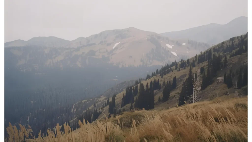 Aesthetic Colorado Instagram Captions