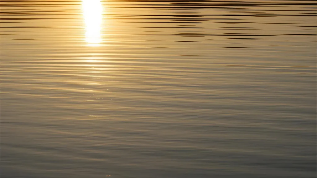 Aesthetic Fishing Captions for Instagram