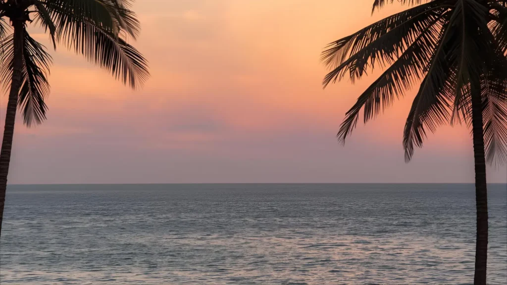 Aesthetic Miami Instagram Captions for Dreamy Feeds