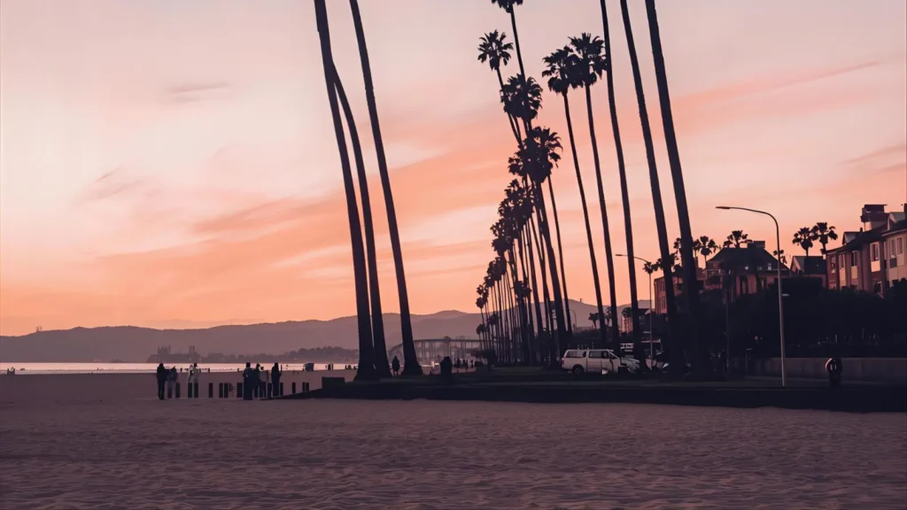 Business & Content Creator Cali Instagram Captions