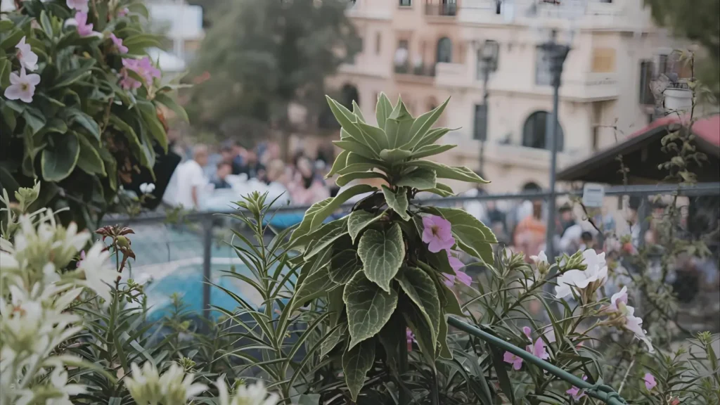 Eco-Friendly Zoo Instagram Captions