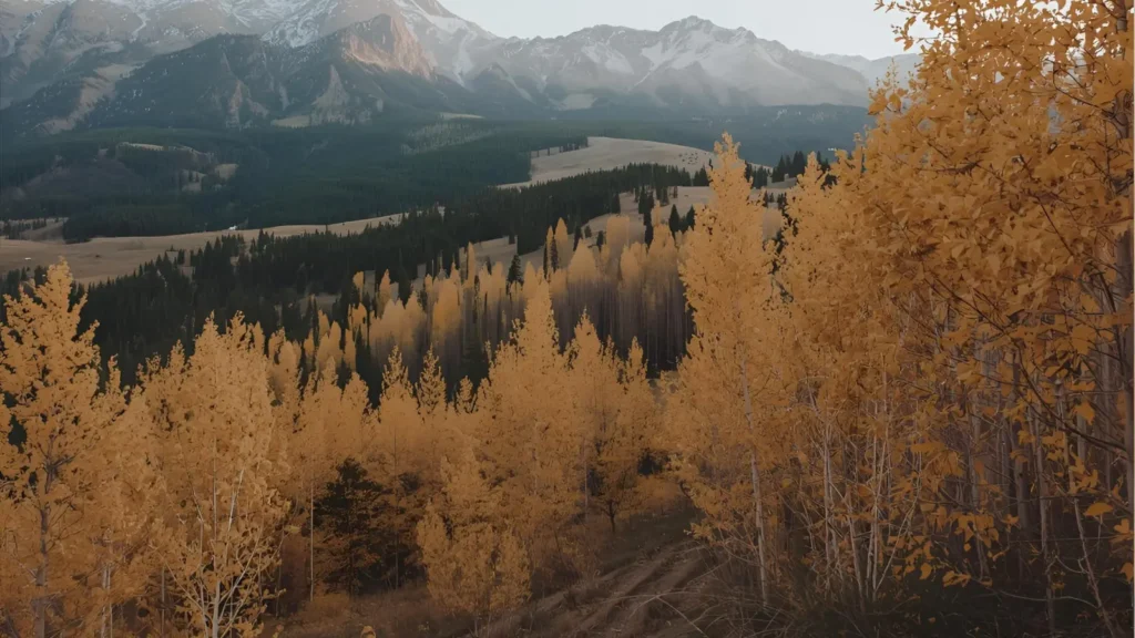 Fall in Colorado Instagram Captions