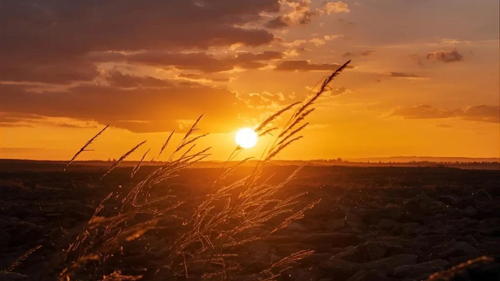 Fire Captions for Sunsets & Nature Shots