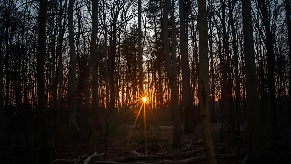 Nature Sunset Short Captions for Instagram