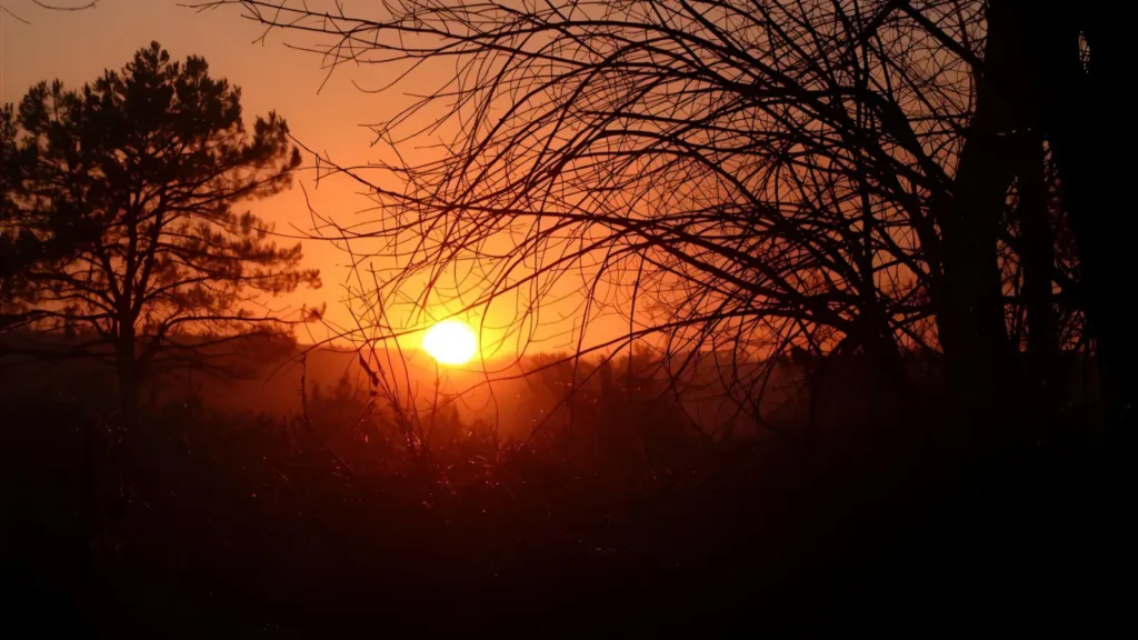 Viral Sunrise Captions to Boost Engagement