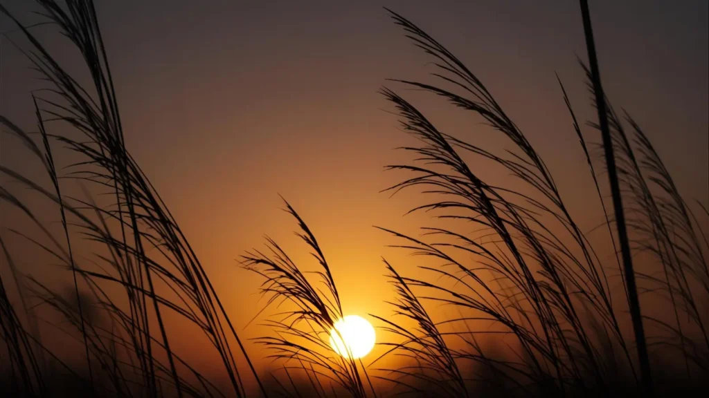 Solo Travel Sunrise Captions for Instagram