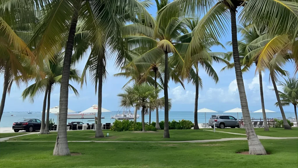 Travel Miami Instagram Captions