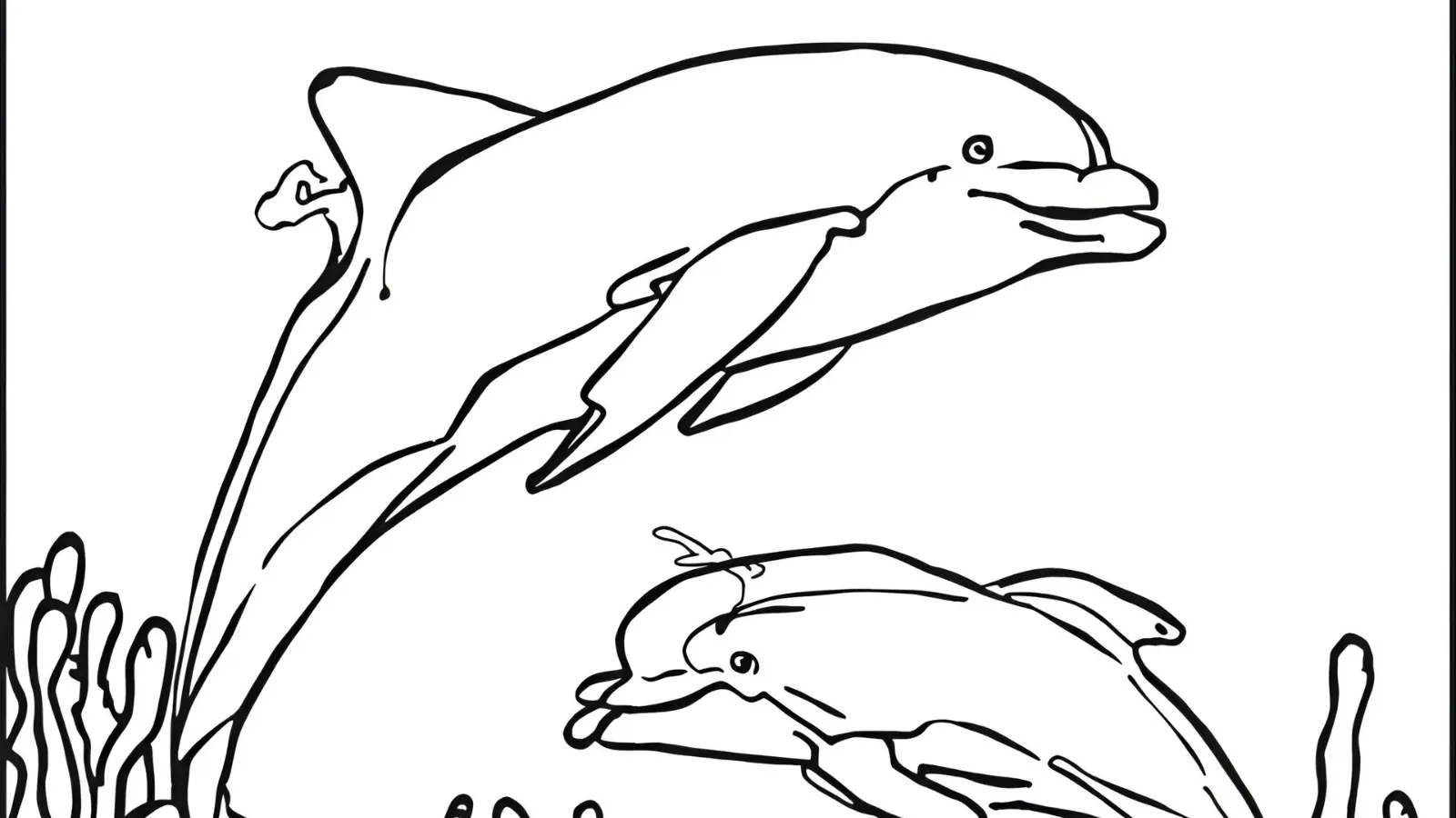 dolphin coloring pages