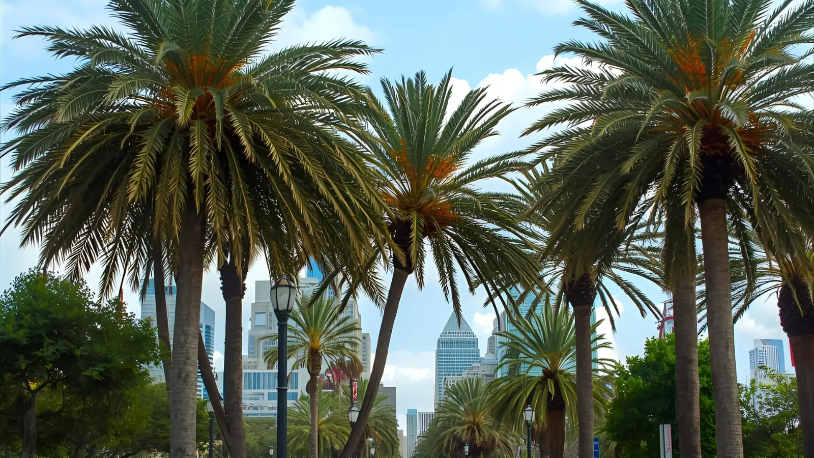 florida captions for instagram