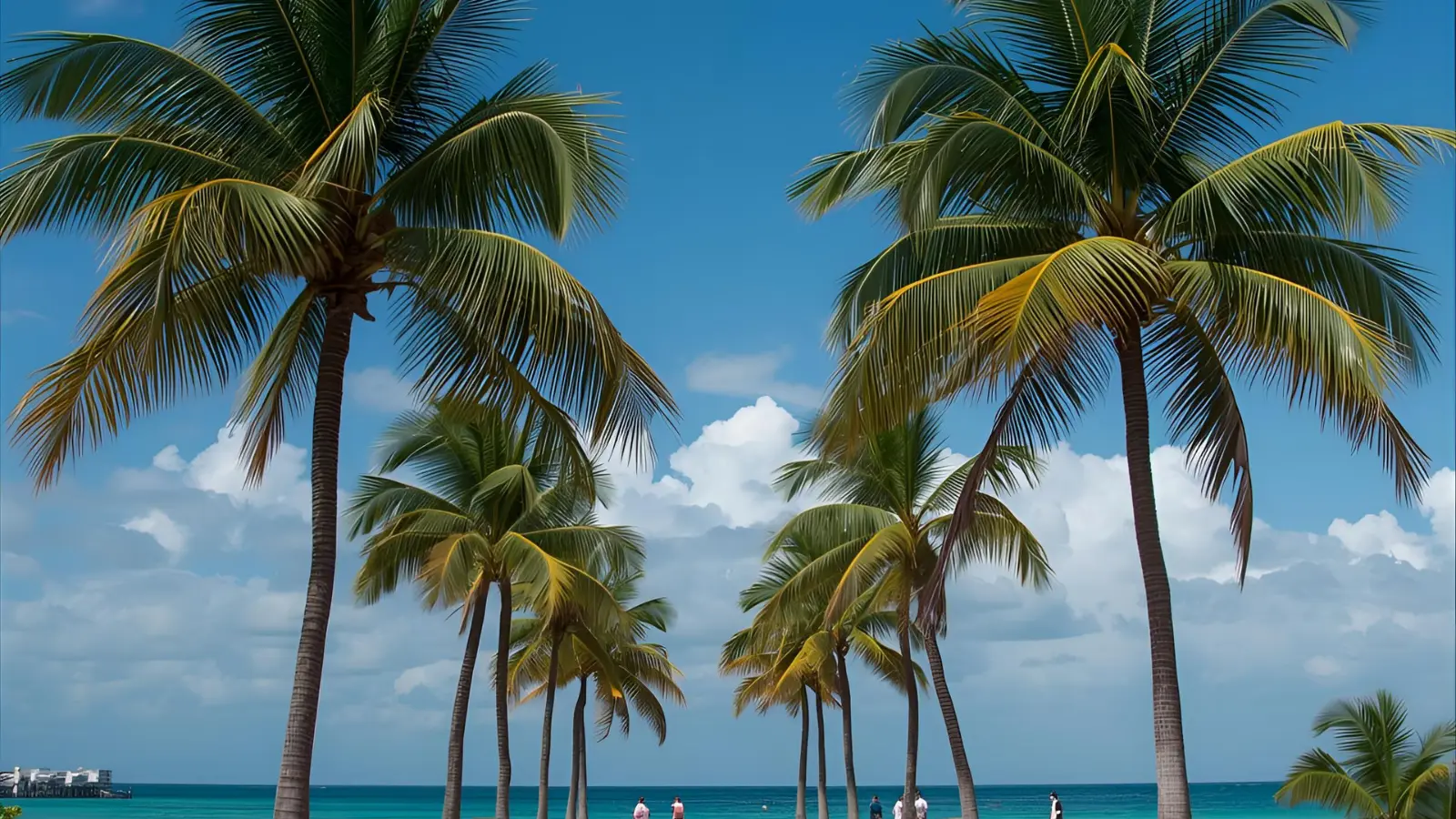 miami instagram captions