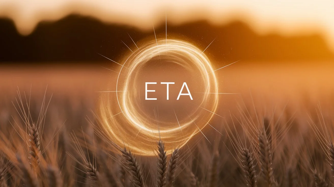 what does eta mean on life360