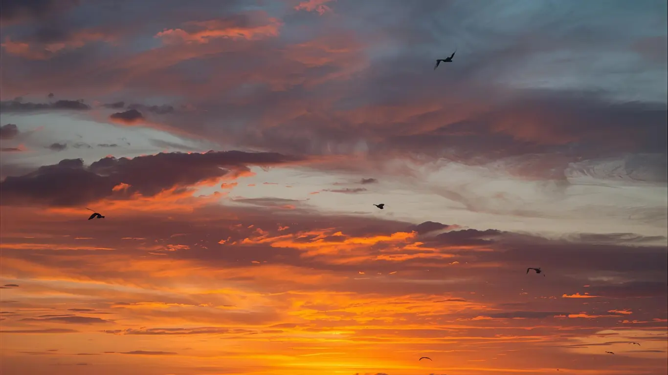 captions for instagram sunset